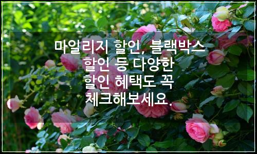 오늘의 이미지