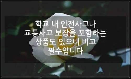 오늘의 이미지
