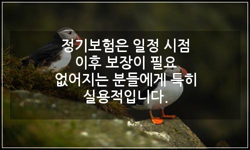 오늘의 이미지