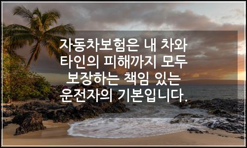 오늘의 이미지