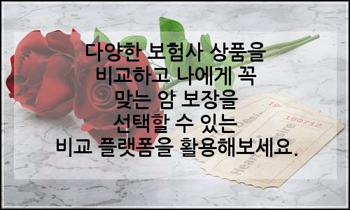 오늘의 이미지