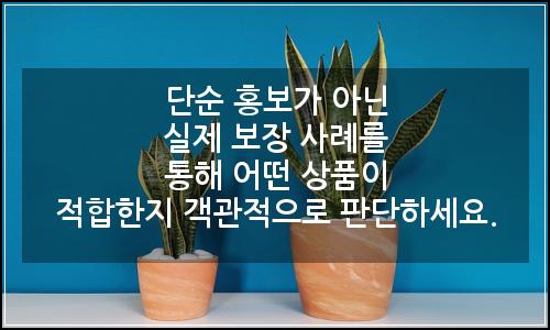 오늘의 이미지