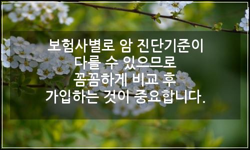 오늘의 이미지