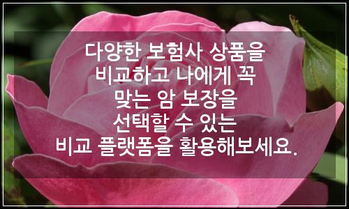 오늘의 이미지