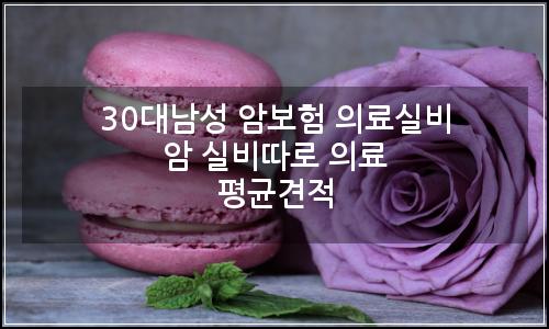 오늘의 이미지
