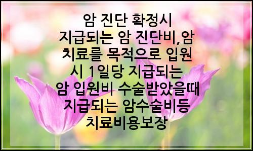 오늘의 이미지