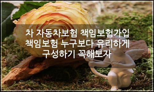 오늘의 이미지