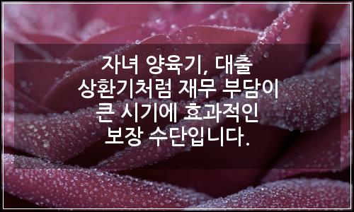 오늘의 이미지