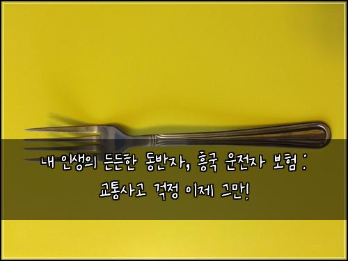  내 인생의 든든한 동반자, 흥국 운전자 보험 : 교통사고 걱정 이제 그만!