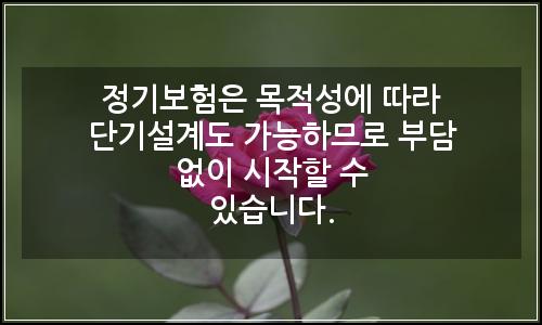 오늘의 이미지