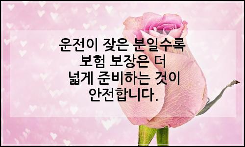 오늘의 이미지