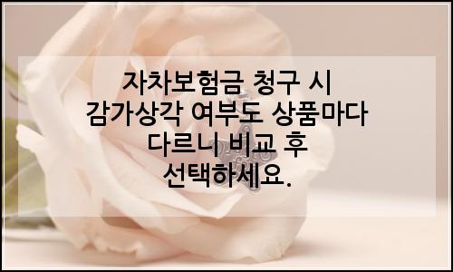 오늘의 이미지