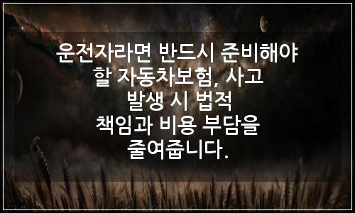 오늘의 이미지