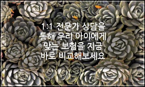 오늘의 이미지