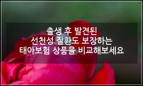 오늘의 이미지