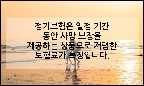 오늘의 이미지