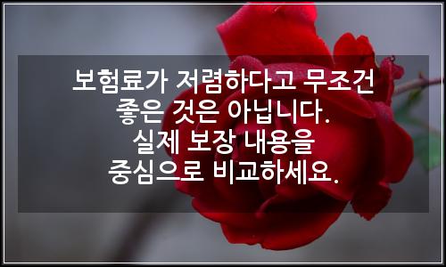 오늘의 이미지