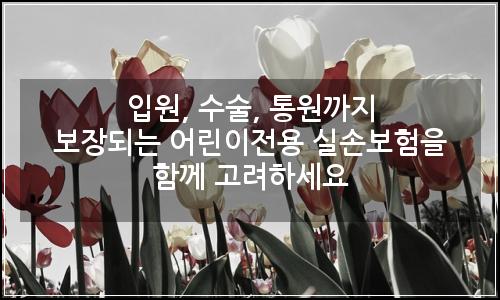 오늘의 이미지