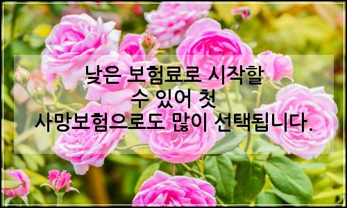 오늘의 이미지
