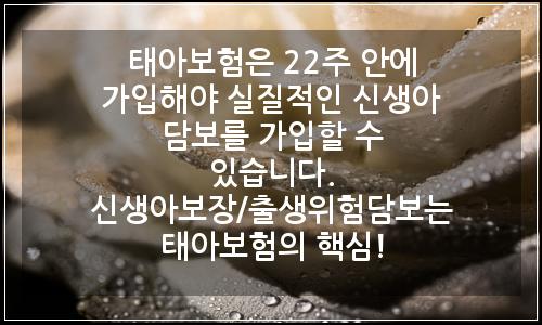 오늘의 이미지