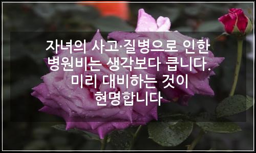 오늘의 이미지