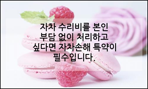 오늘의 이미지