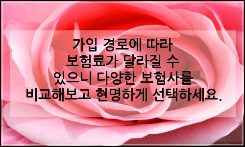오늘의 이미지