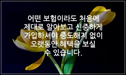 오늘의 이미지