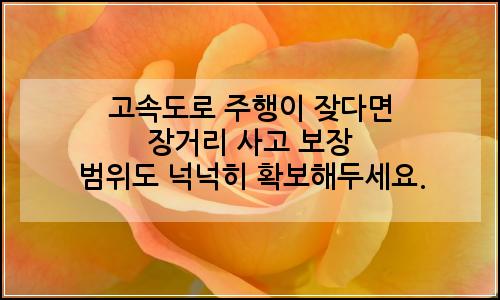 오늘의 이미지