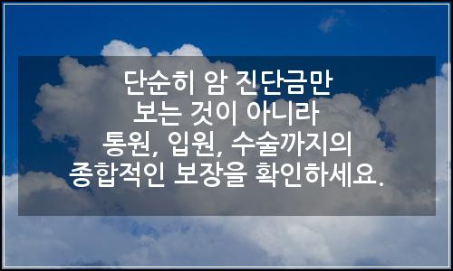 오늘의 이미지
