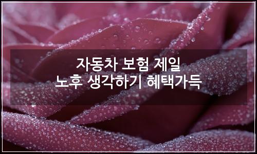 오늘의 이미지