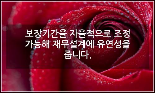 오늘의 이미지