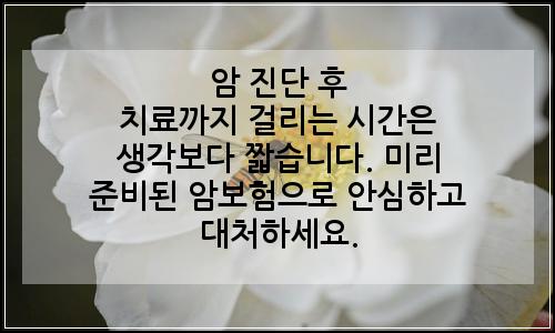 오늘의 이미지
