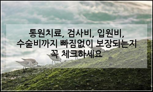 오늘의 이미지