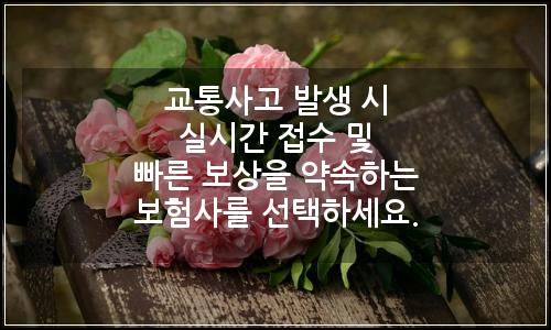 오늘의 이미지