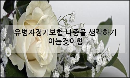 오늘의 이미지