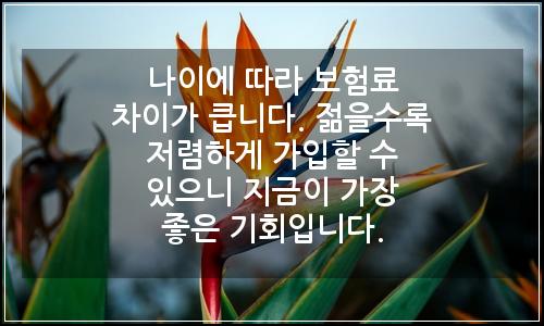 오늘의 이미지