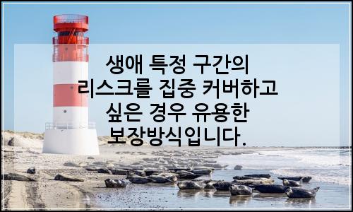 오늘의 이미지