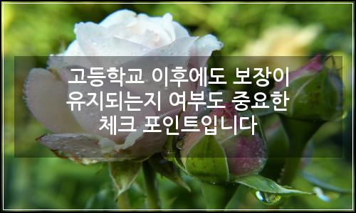 오늘의 이미지