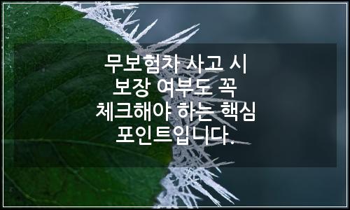 오늘의 이미지