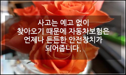 오늘의 이미지