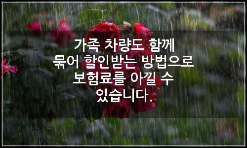 오늘의 이미지