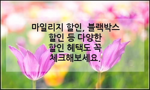 오늘의 이미지