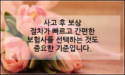 오늘의 이미지