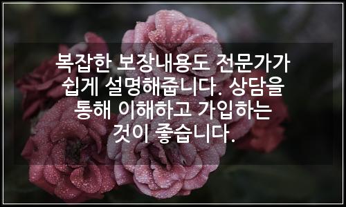 오늘의 이미지