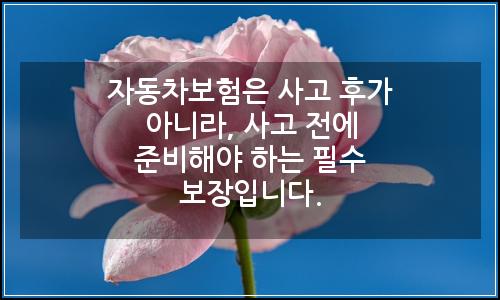 오늘의 이미지
