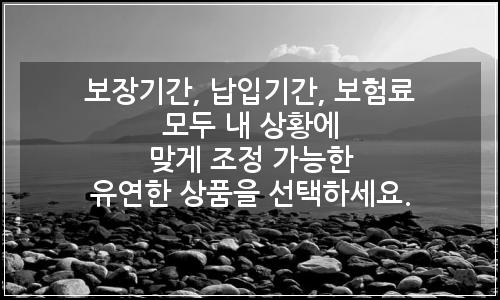 오늘의 이미지