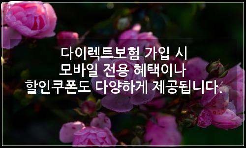 오늘의 이미지