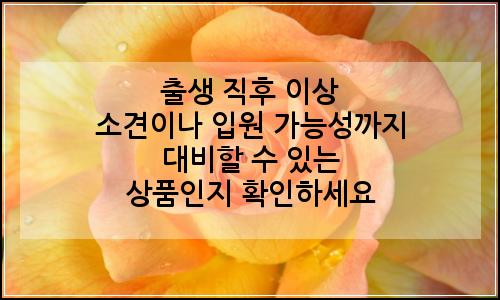 오늘의 이미지