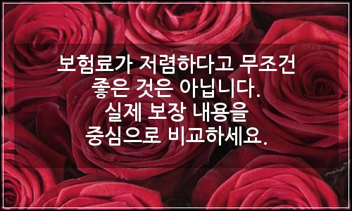 오늘의 이미지